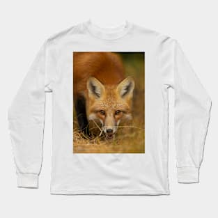 Red Fox close-up, Algonquin Park Long Sleeve T-Shirt